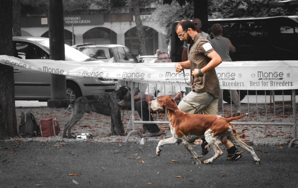 Sò figo, sò monello, dell’Italia sò er più&nbsp;bello!