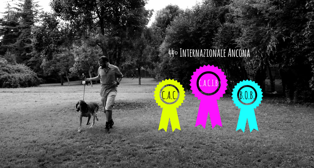 Iniziamo dalla fine (del&nbsp;campionato)