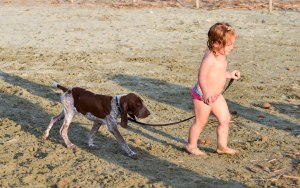 bimba con cane al guinzaglio