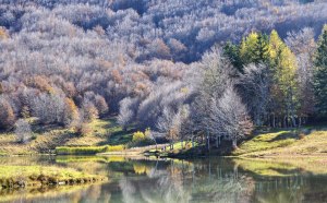 ventasso lago calamone