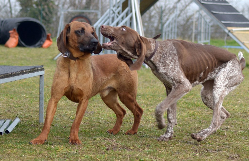 Practice makes perfect!