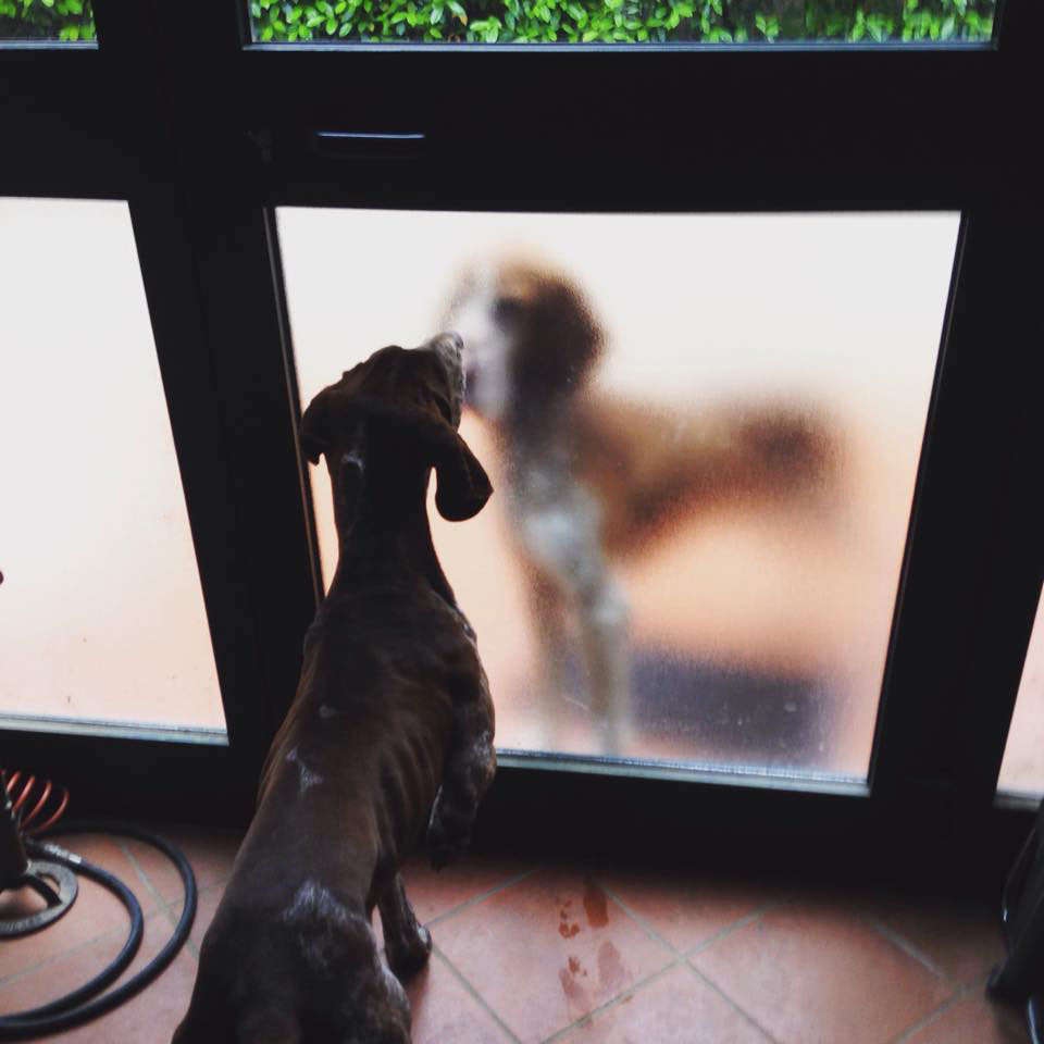 Il primo calore non si scorda&nbsp;mai