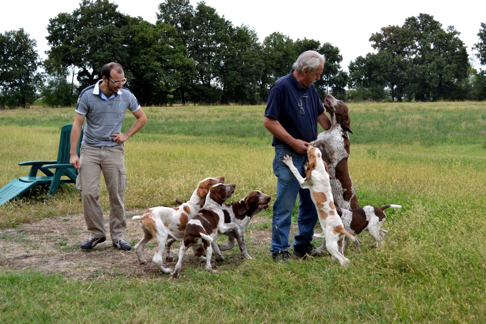 La carica degli Horcrux!