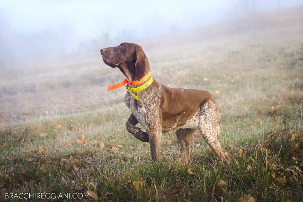Una stagione (o quasi) in&nbsp;foto