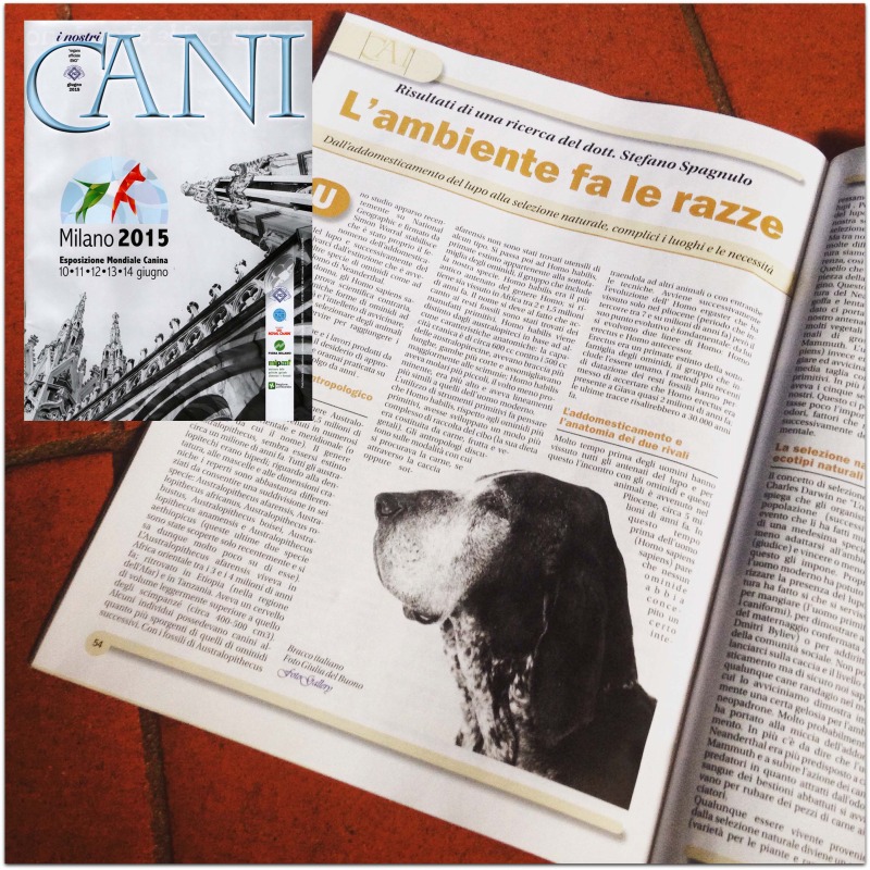 i nostri cani rivista enci