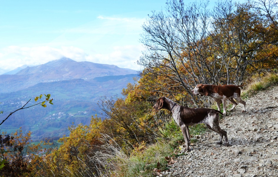 La conquista della Pietra