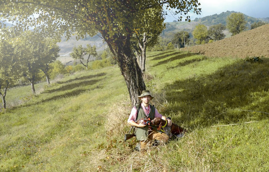 caccia trotto bracco italiano riporto