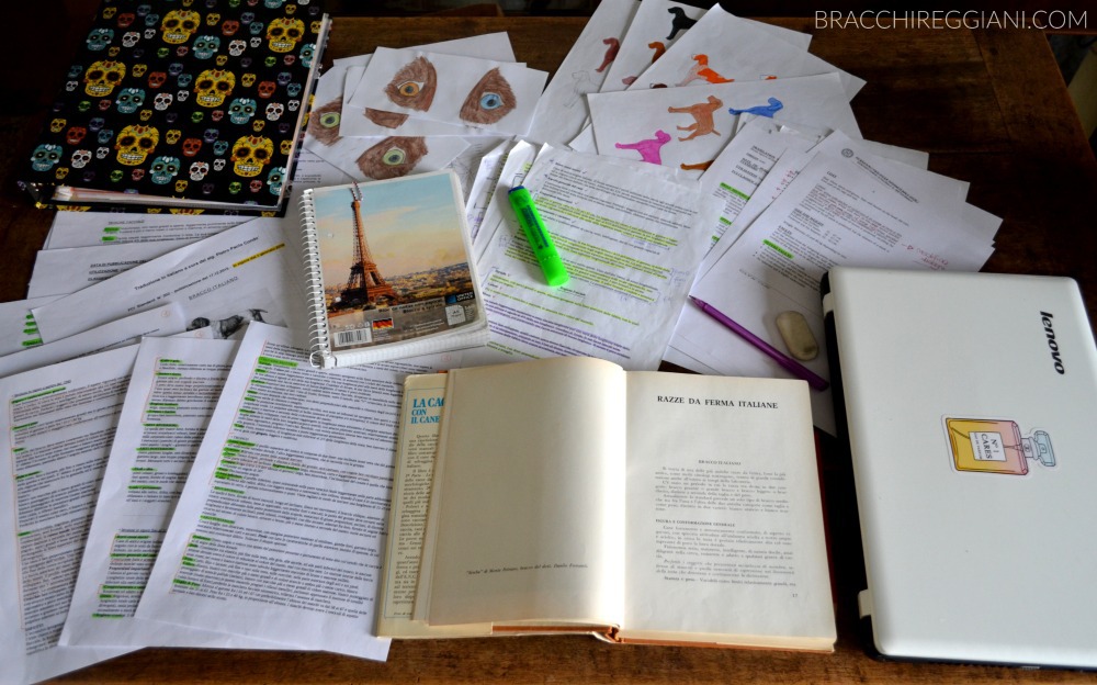 Standard a confronto