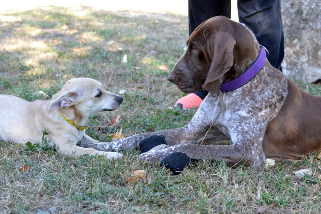 Ma come ti&nbsp;mantengo?!