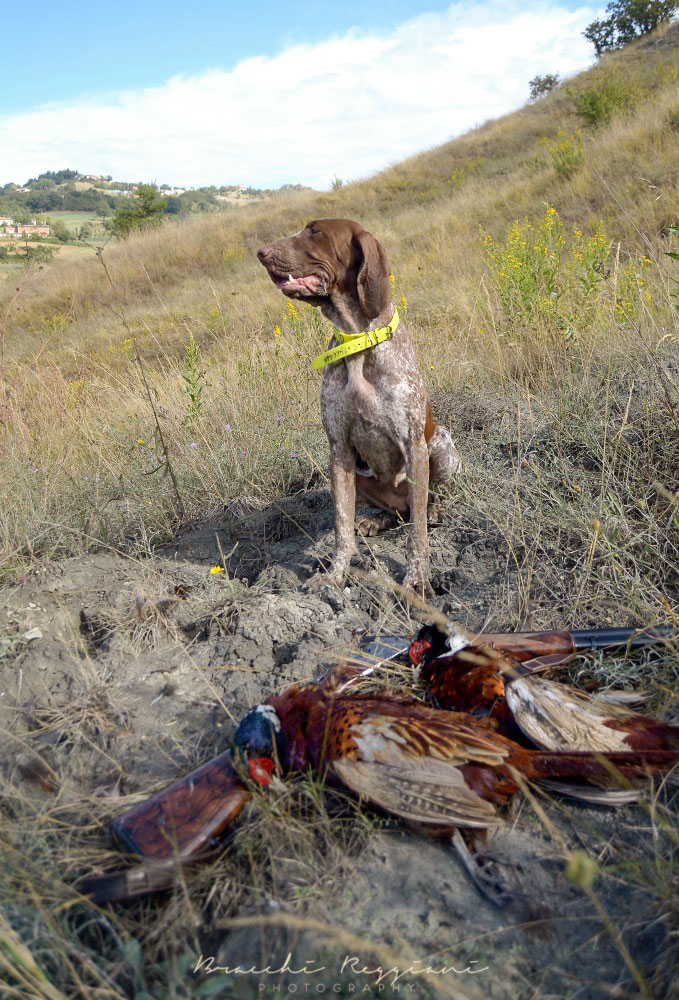 Aperture straordinarie