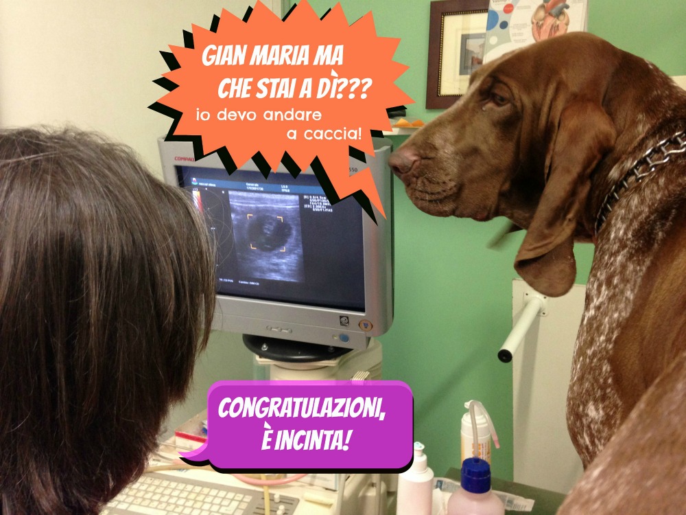 Gravida lei, isterica io