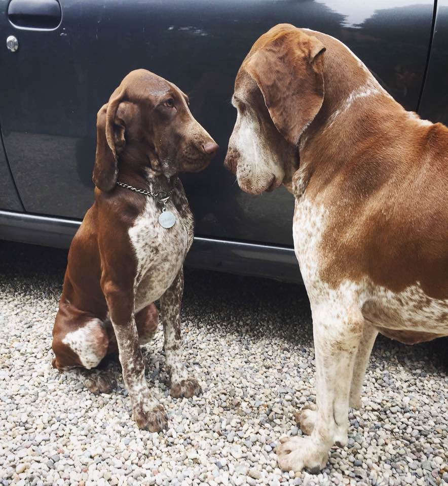 Da Bruna e per sempre