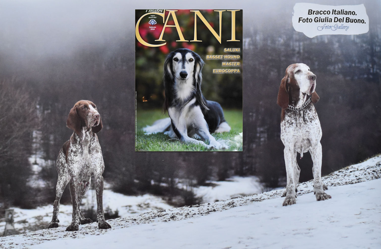 enci rivista i nostri cani