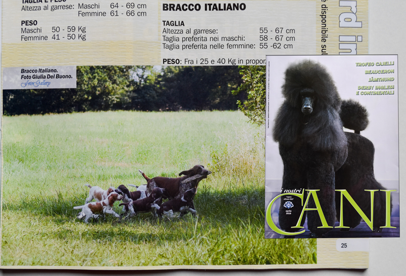 rivista enci i nostri cani