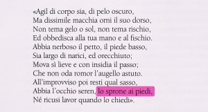 sperone cane bracco italiano