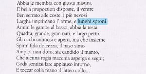 sperone cane bracco italiano