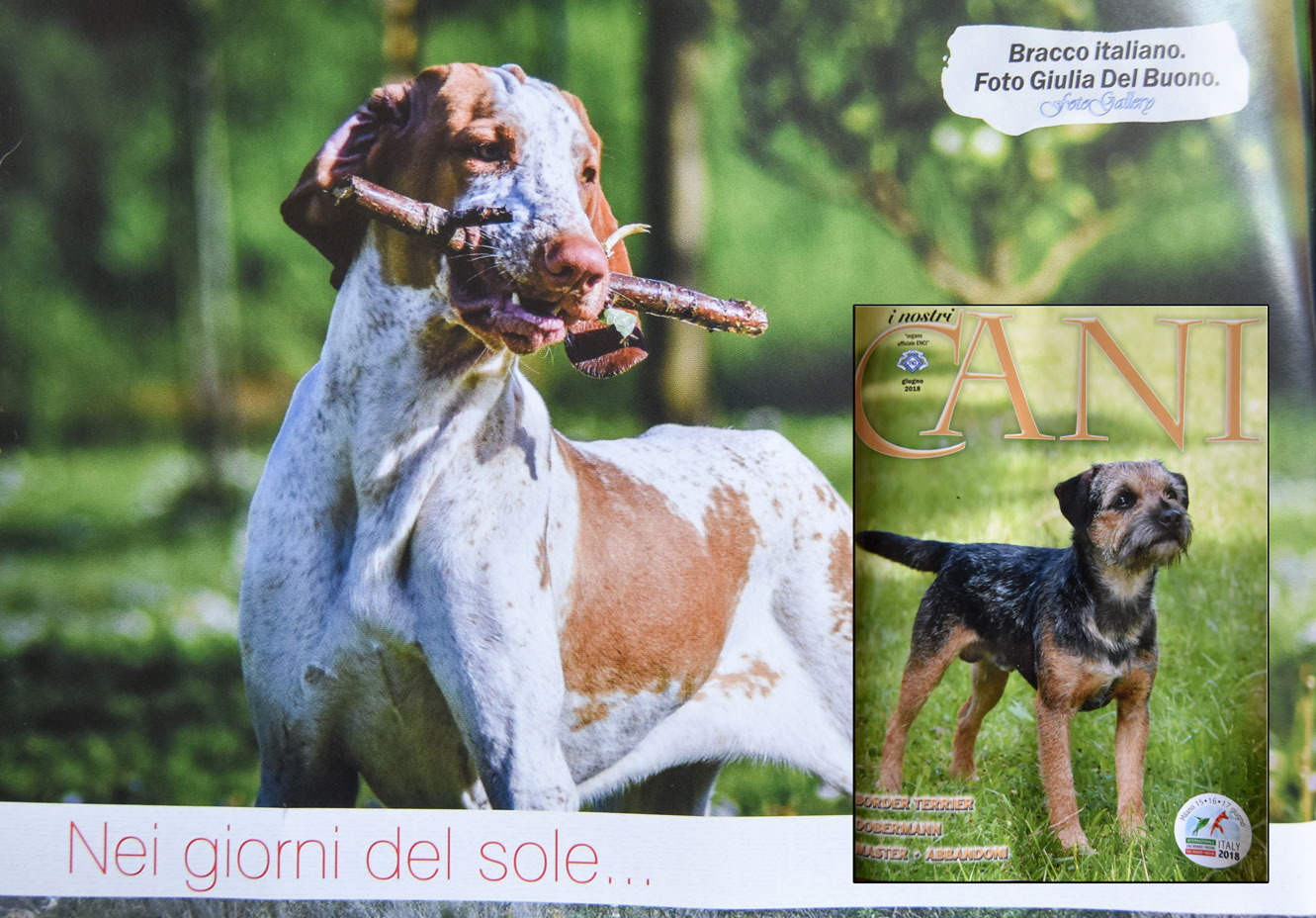 i nostri cani rivista enci