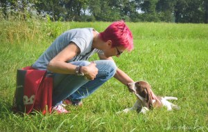 cucciolo bracco italiano bianco marrone roano arancio