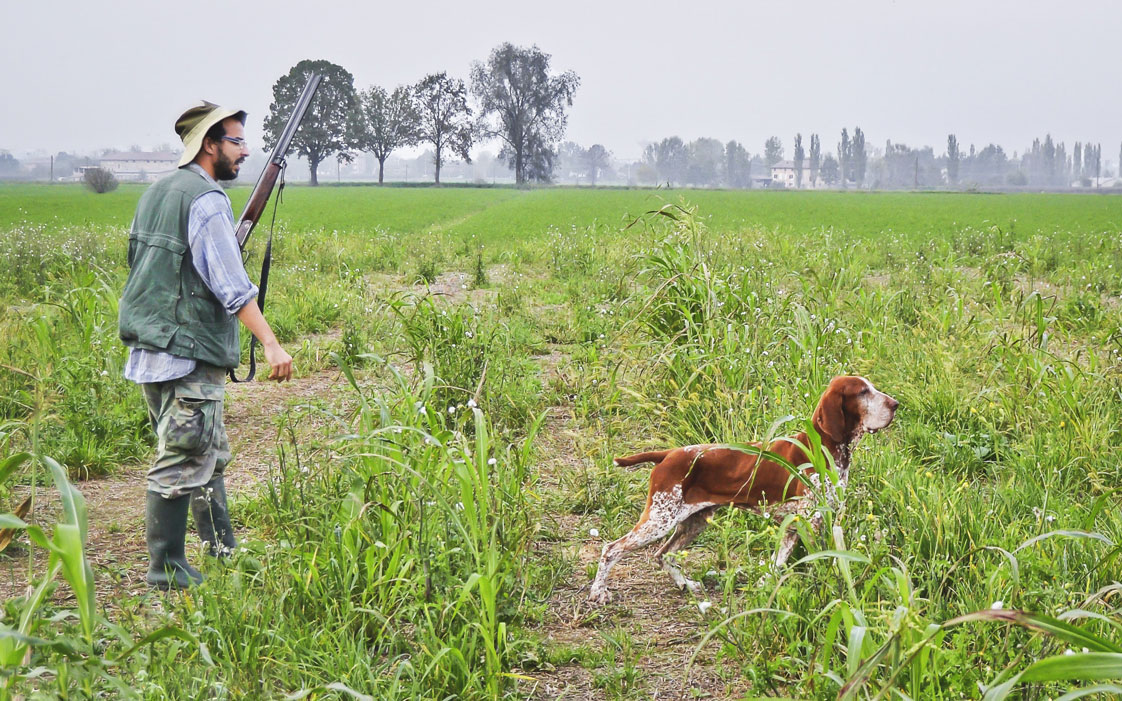 caccia col bracco