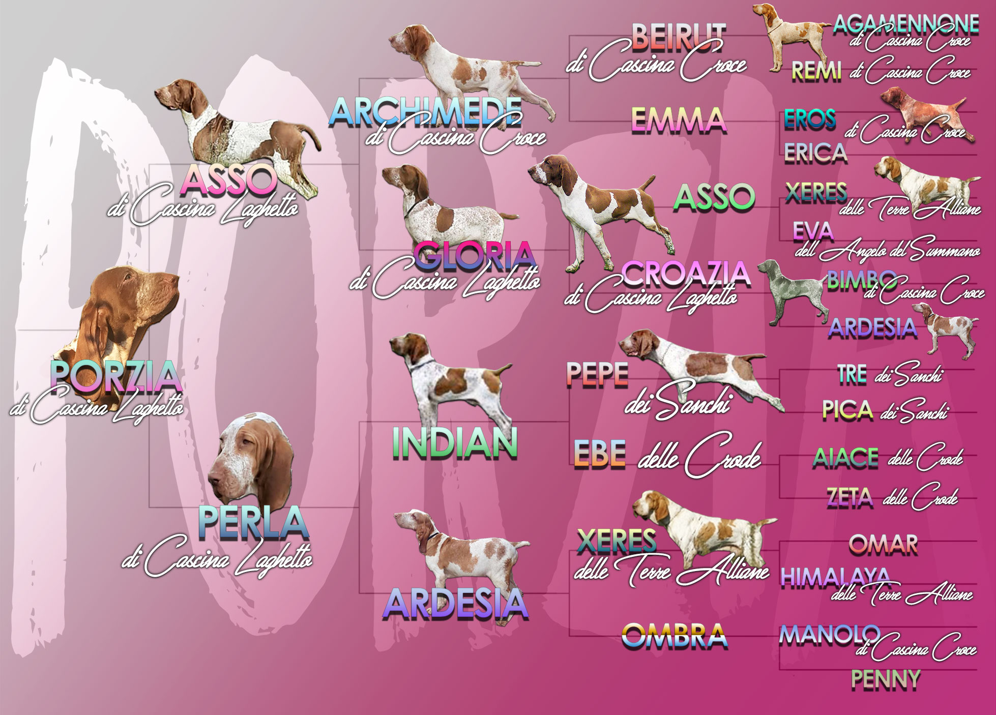 pedigree illustrato foto cani