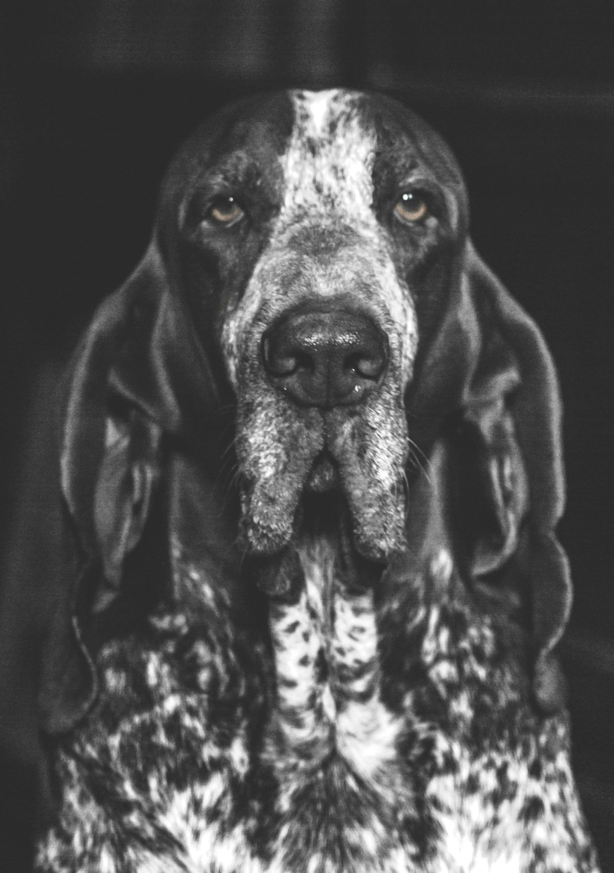 ulisse bracchi reggiani