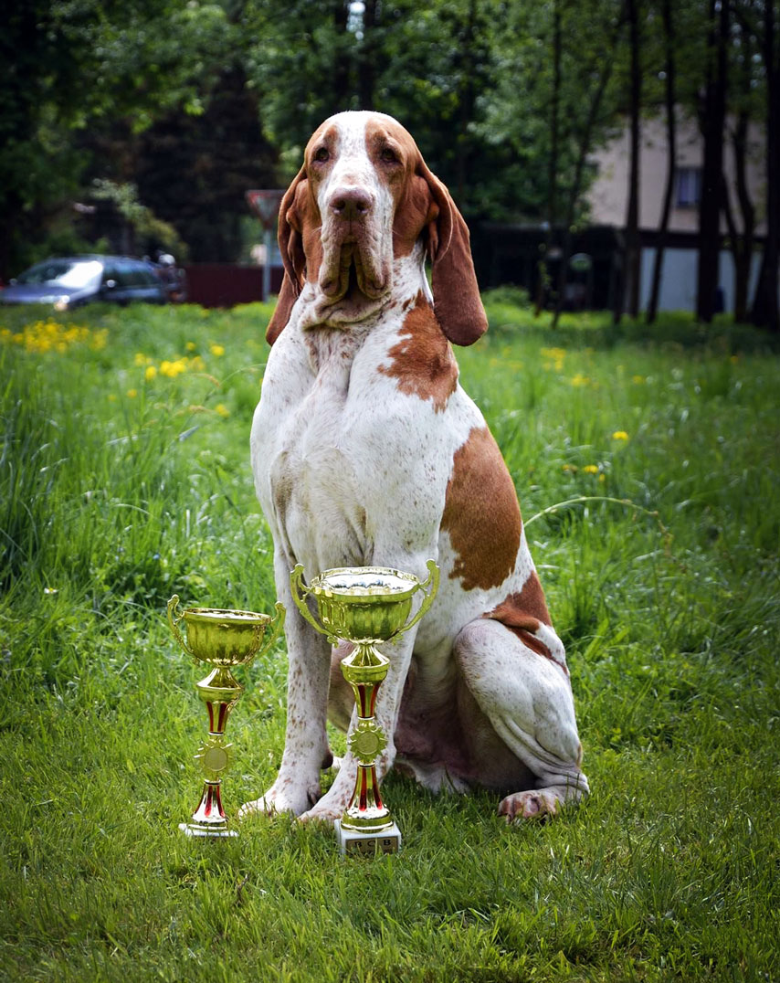 bracco-bianco-arancio-esposizione-1