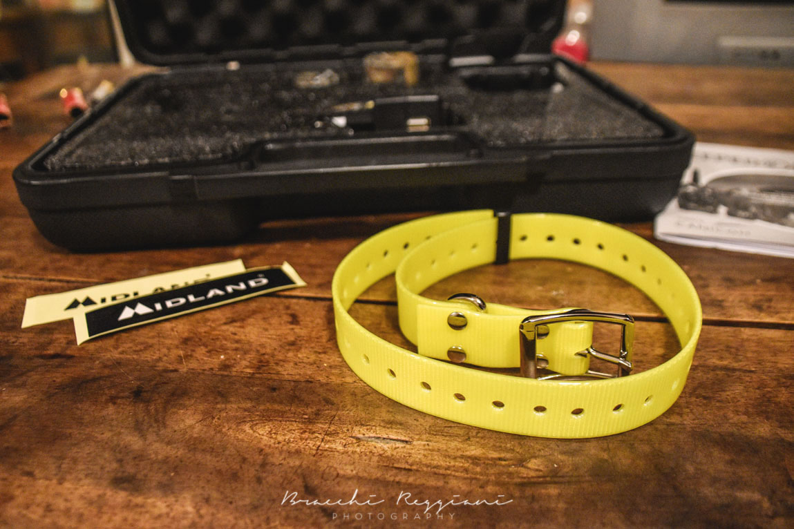 collare-beeper-one-midland-pro-canicom-1