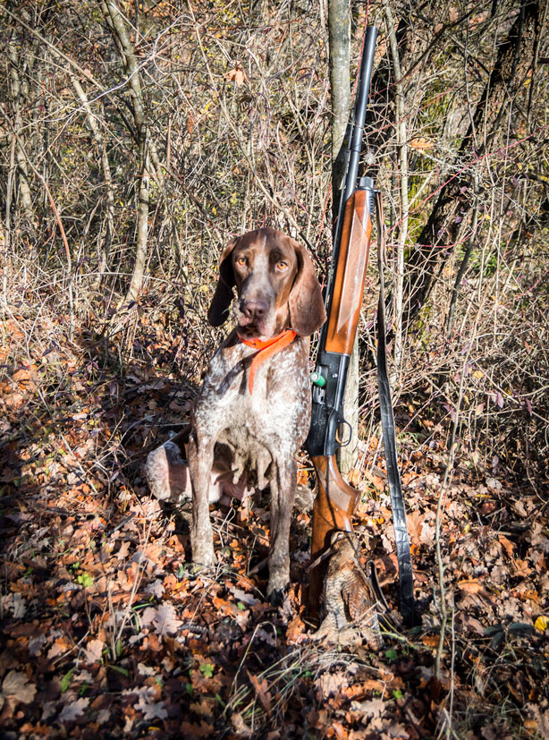 caccia alla beccaccia