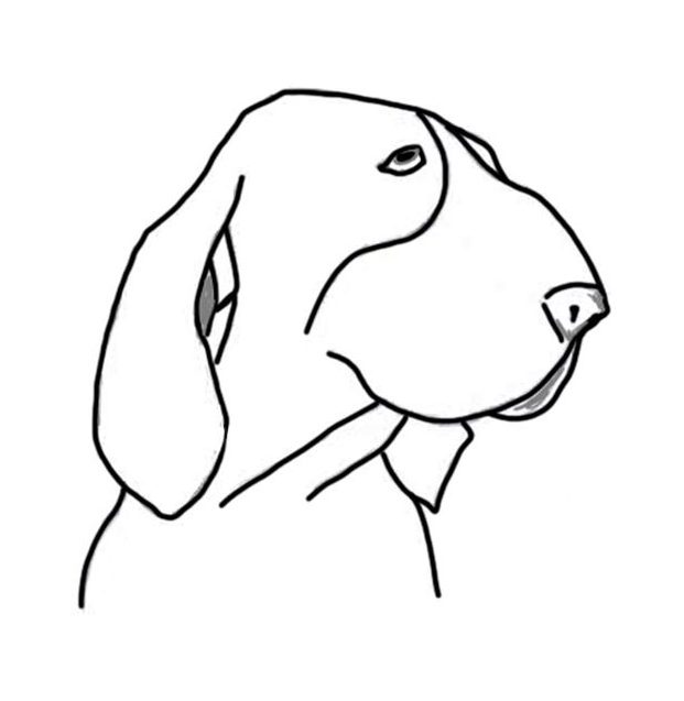 canna-nasale-montonina