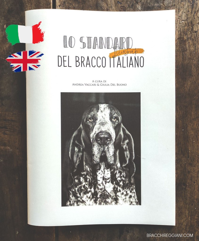 libro-sul-bracco-italiano