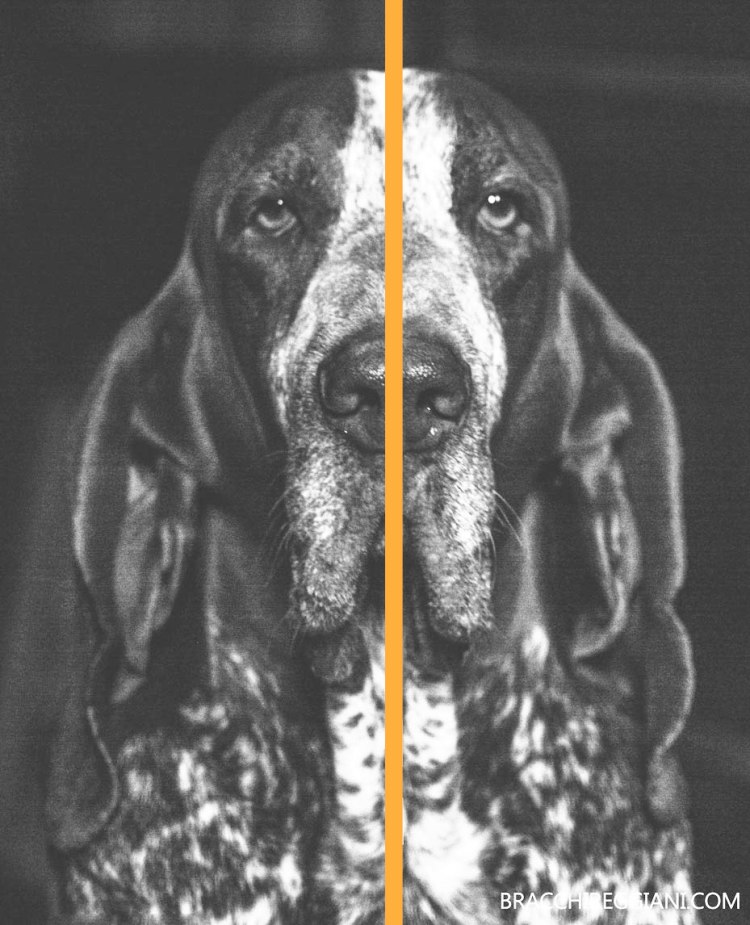 maschera-bracco-simmetrica