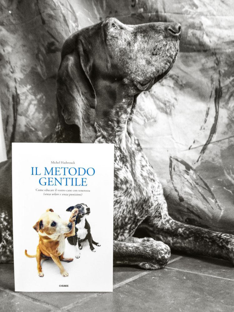 il-metodo-gentile
