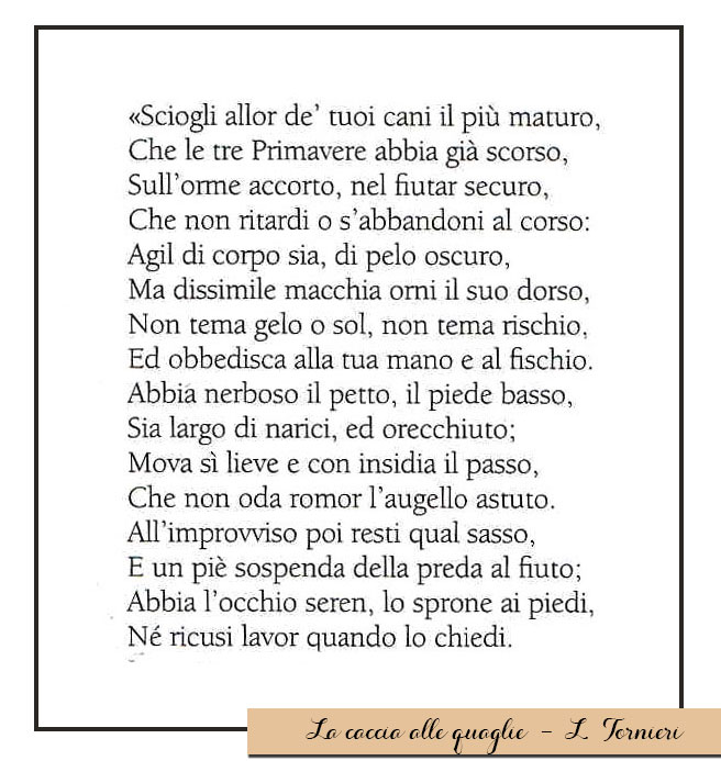 la-caccia-alle-quaglie-tornieri-1