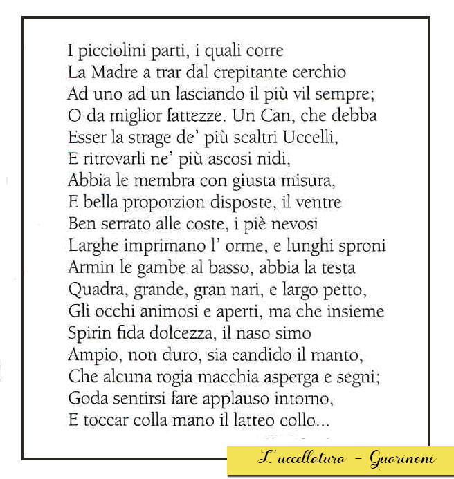 l-uccellatura-guarinoni