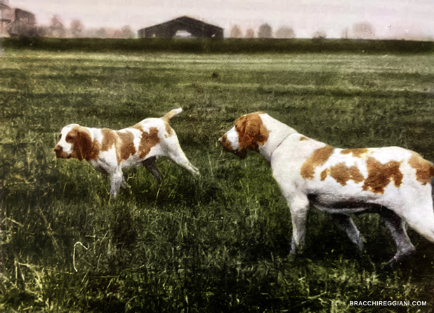 cecca-e-catina-delle-forre