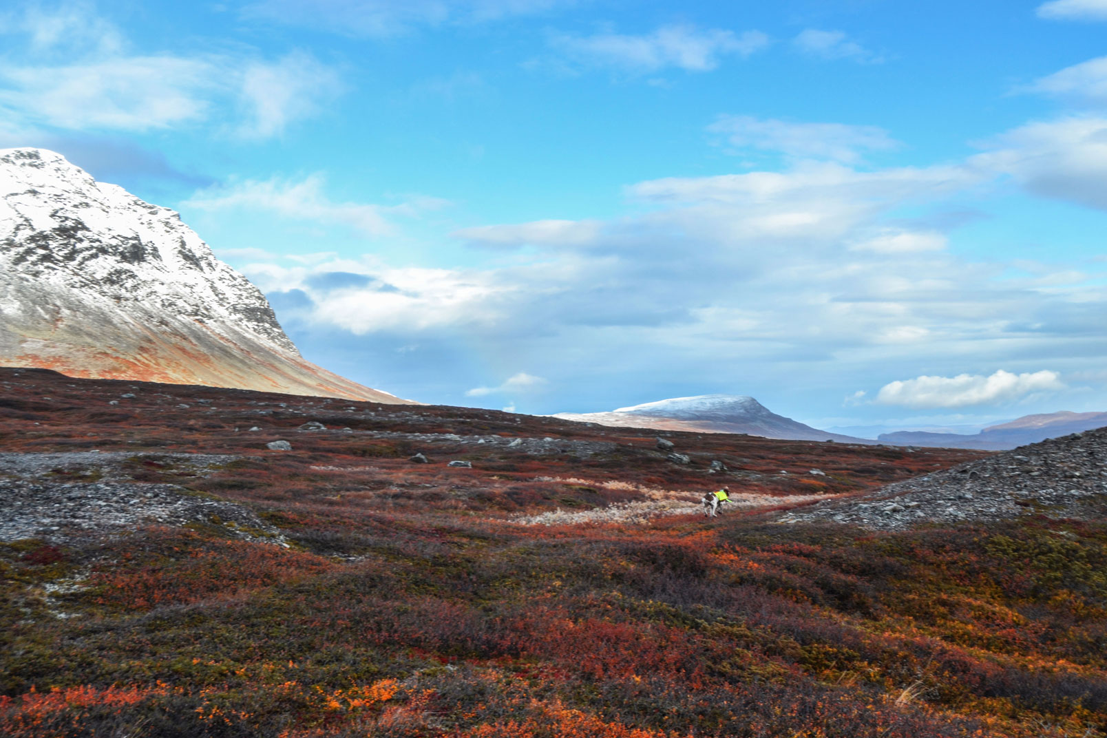 caccia-in-lapponia-viaggio