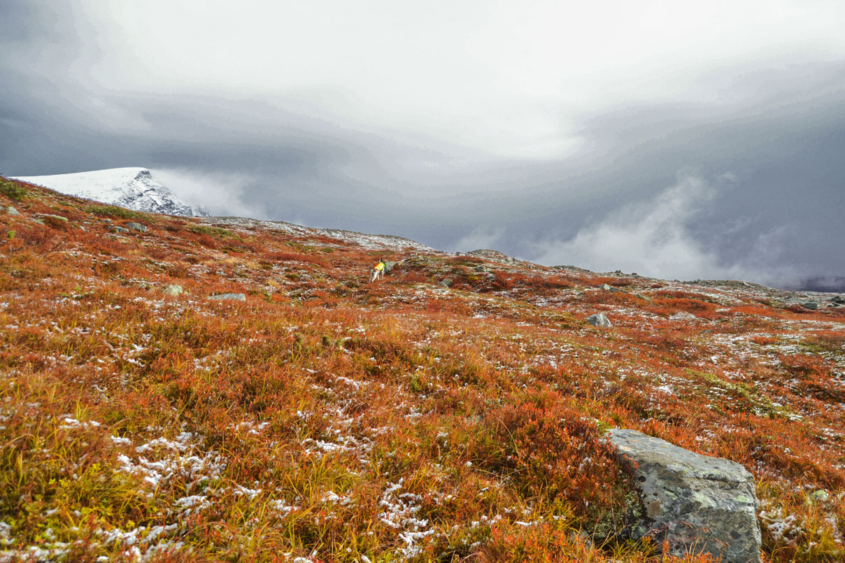 paesaggio-caccia-lapponia-svezia-finlandia