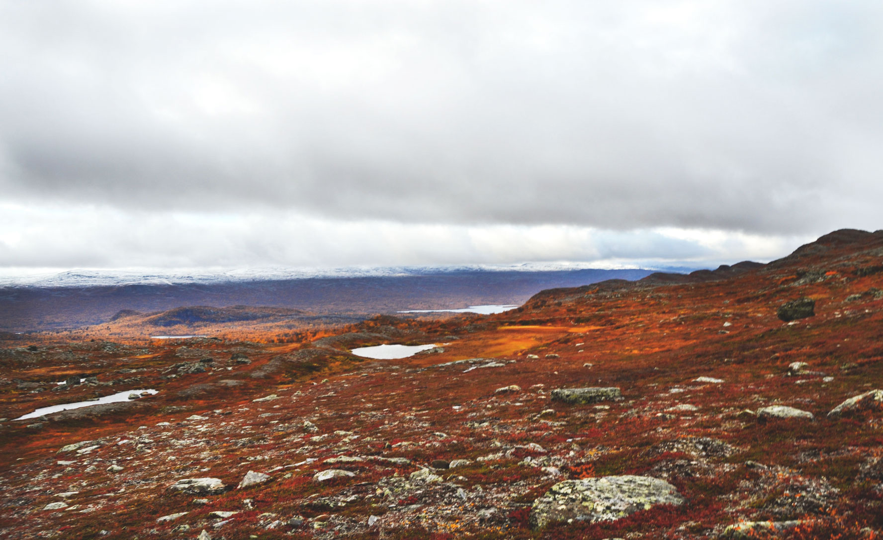 paesaggio-caccia-lapponia-svezia-finlandia