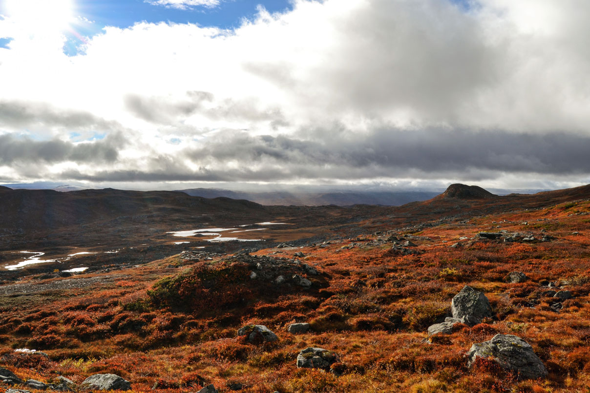 paesaggio-svedese-caccia