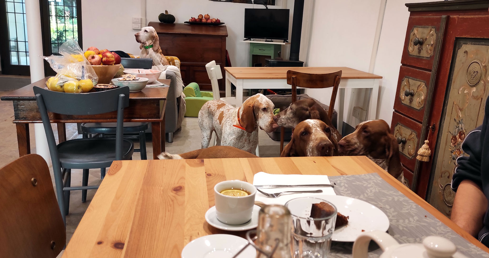 colazione-ai-bracchi