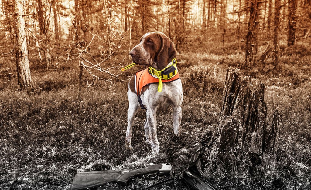 Garmin Atemos 100: perchè&nbsp;sceglierlo