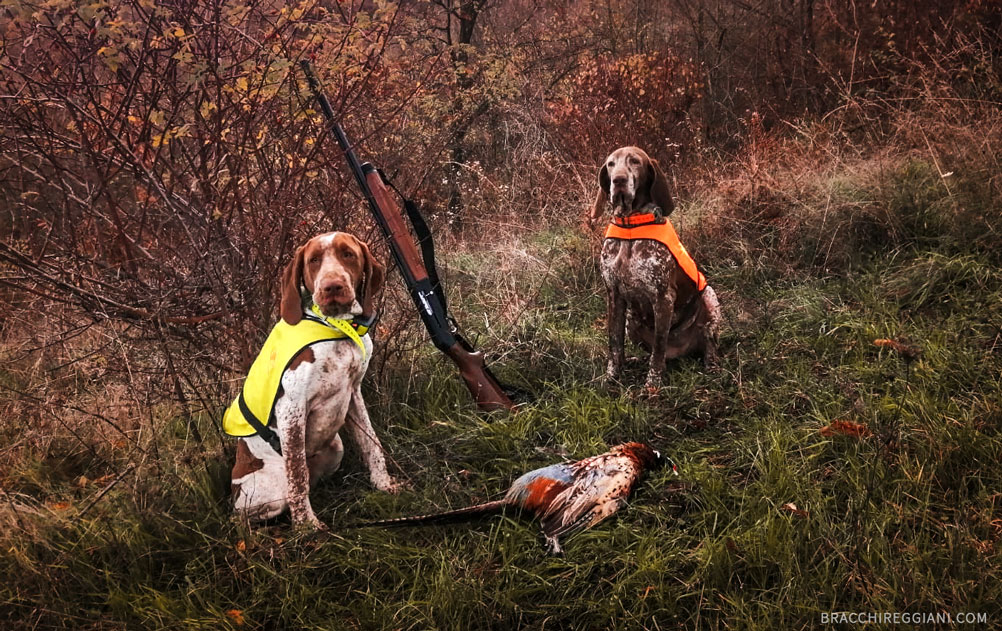 accessori-alta-visibilita-caccia