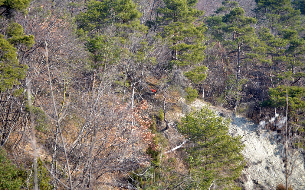 mantellina-alta-visibilita-cane-caccia-montagna