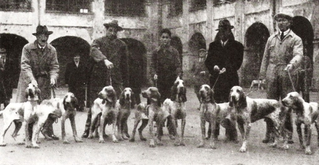 Col trattore in tangenziale (andiamo a comandare)