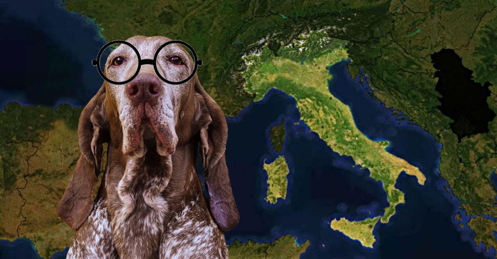 La geografia del Bracco Italiano&nbsp;2022