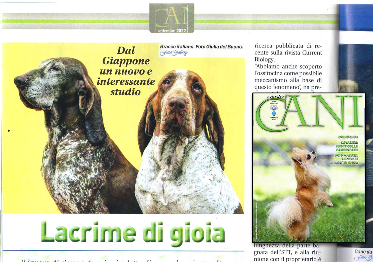 i nostri cani dicembre 2022