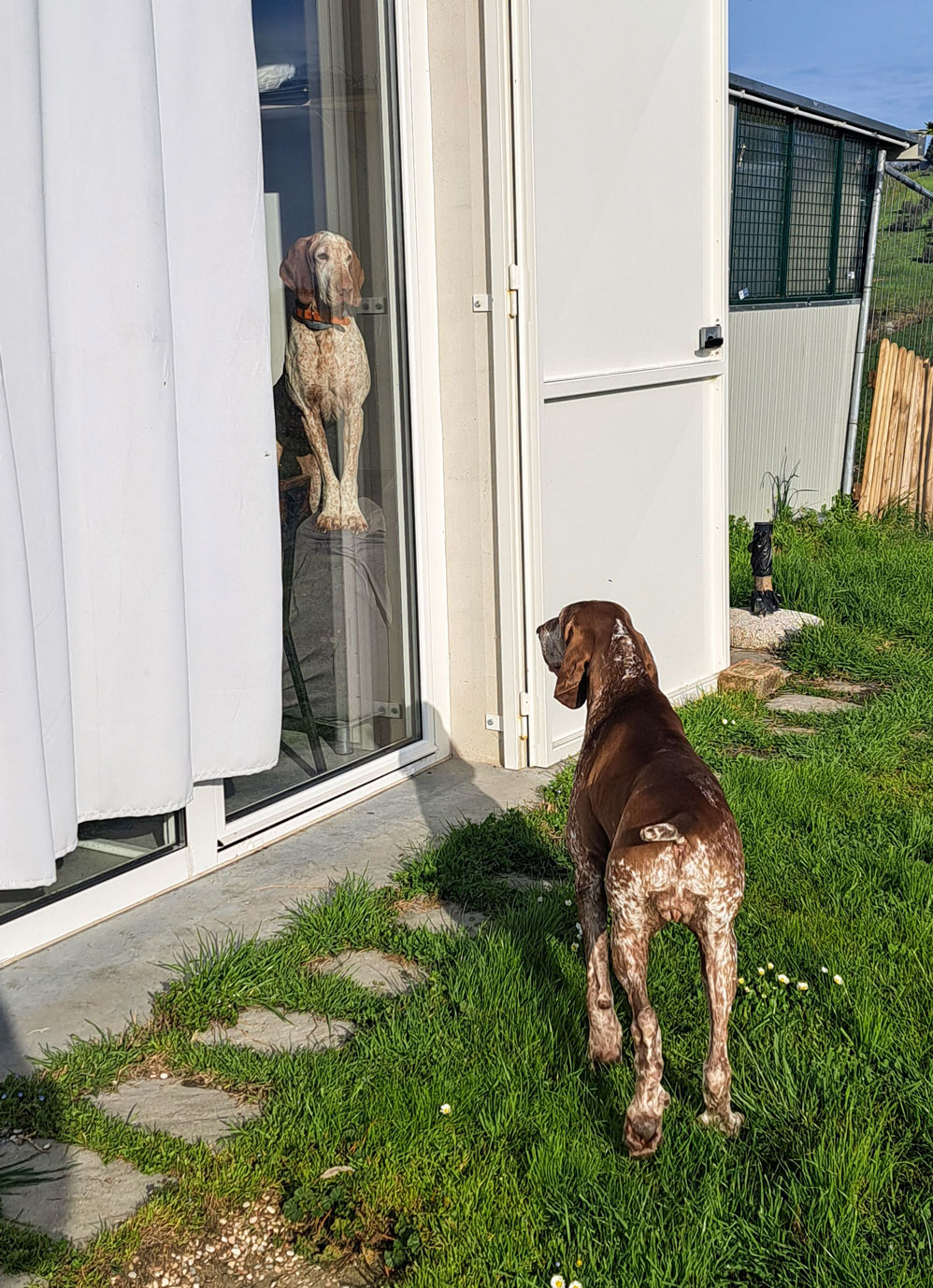 bianca-dentro-olena-fuori