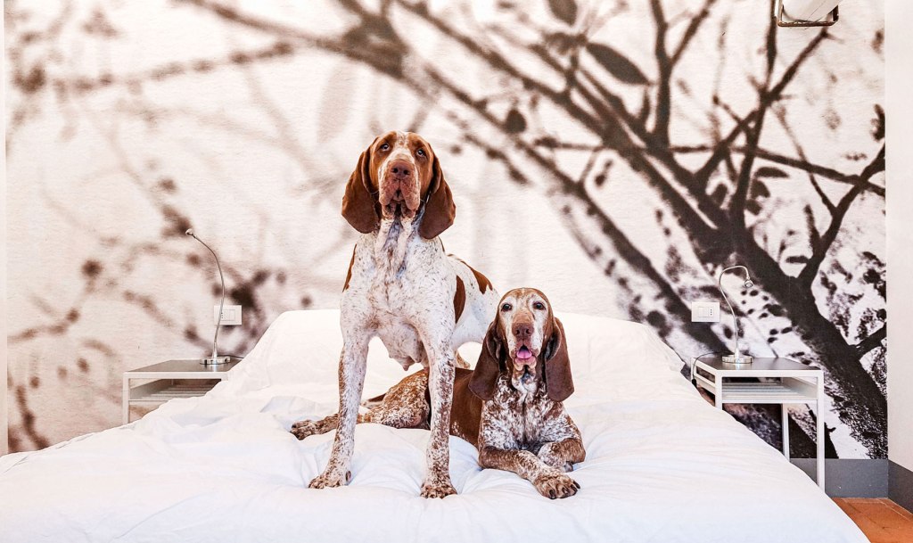 Ritorno a ‘I Bracchi Bed & Breakfast’