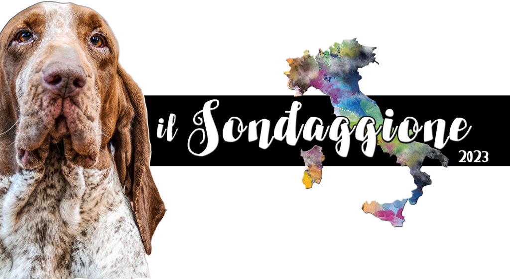 La geografia del Bracco Italiano – Il Sondaggione&nbsp;2023