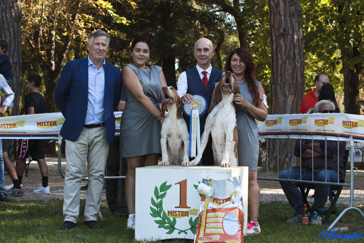 Miglior Coppia: Di Daria Van De Flor Adolfo & Riva St. Tropez VDF di Daria Florenzi
